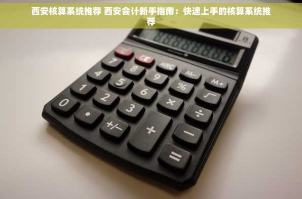 西安核算系统推荐 西安会计新手指南：快速上手的核算系统推荐