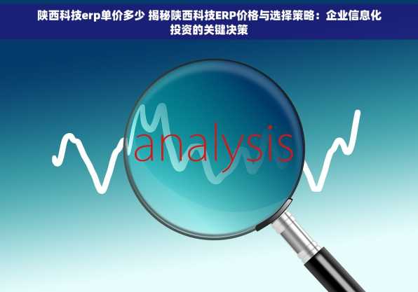 陕西科技erp单价多少 揭秘陕西科技ERP价格与选择策略：企业信息化投资的关键决策