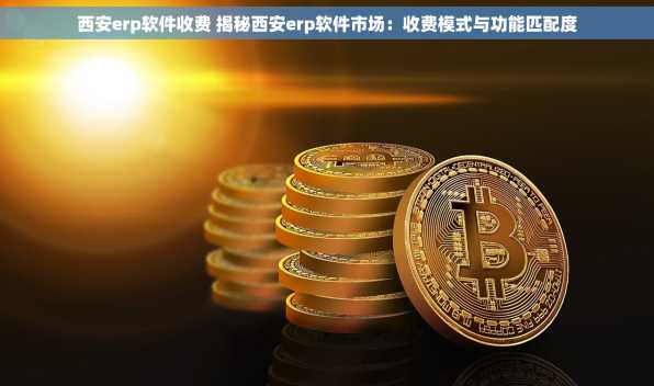 西安erp软件收费 揭秘西安erp软件市场：收费模式与功能匹配度