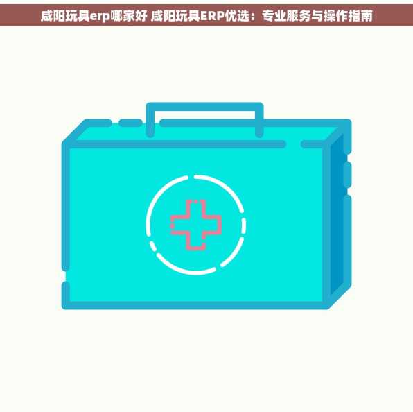 咸阳玩具erp哪家好 咸阳玩具ERP优选：专业服务与操作指南