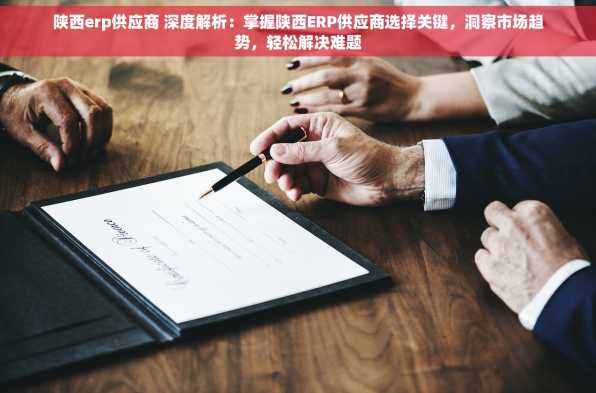 陕西erp供应商 深度解析：掌握陕西ERP供应商选择关键，洞察市场趋势，轻松解决难题