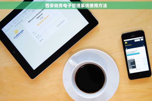 西安税务电子管理系统使用方法