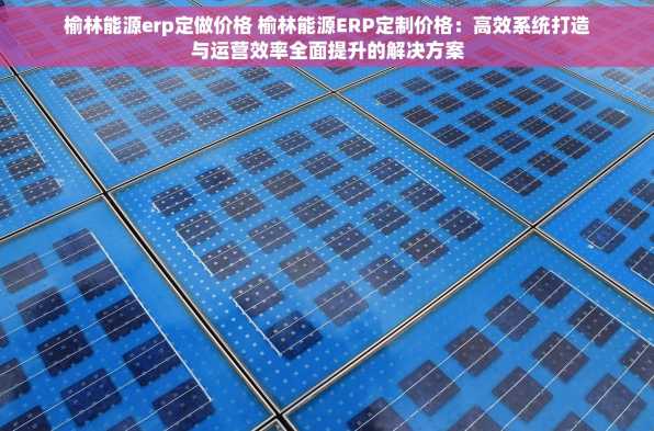 榆林能源erp定做价格 榆林能源ERP定制价格：高效系统打造与运营效率全面提升的解决方案