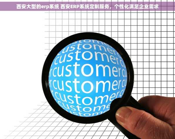 西安大型的erp系统 西安ERP系统定制服务，个性化满足企业需求