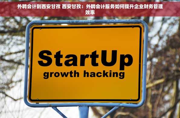 外聘会计到西安甘孜 西安甘孜：外聘会计服务如何提升企业财务管理效率