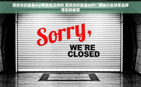 西安纺织服装erp有哪些品牌的 西安纺织服装ERP：揭秘行业领军品牌背后的秘密