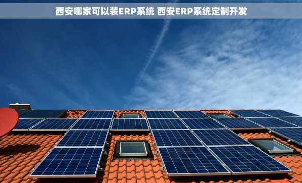 西安哪家可以装ERP系统 西安ERP系统定制开发