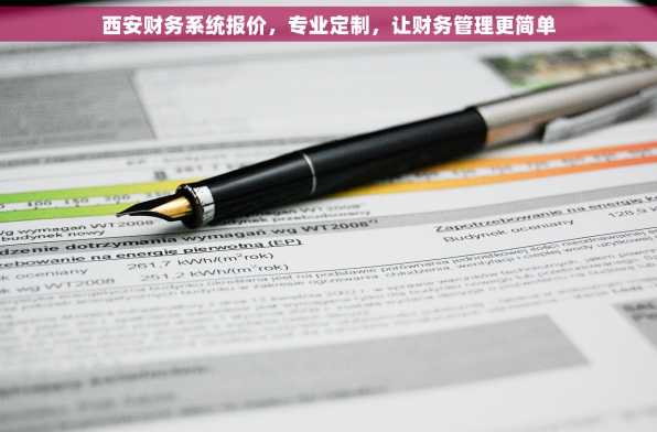 西安财务系统报价，专业定制，让财务管理更简单