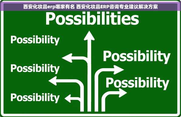 西安化妆品erp哪家有名 西安化妆品ERP咨询专业建议解决方案