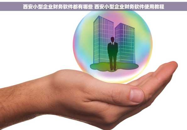 西安小型企业财务软件都有哪些 西安小型企业财务软件使用教程