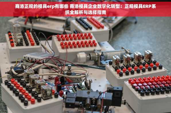 商洛正规的模具erp有哪些 商洛模具企业数字化转型：正规模具ERP系统全解析与选择指南