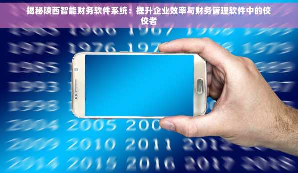揭秘陕西智能财务软件系统：提升企业效率与财务管理软件中的佼佼者