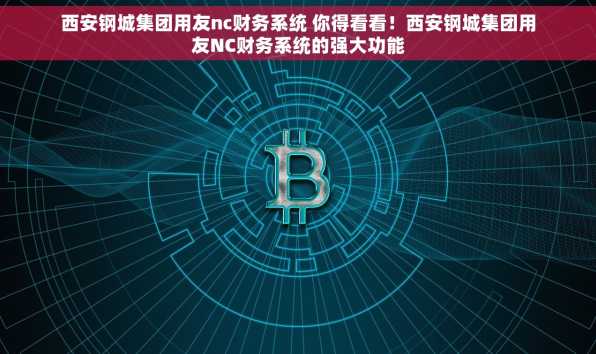 西安钢城集团用友nc财务系统 你得看看！西安钢城集团用友NC财务系统的强大功能