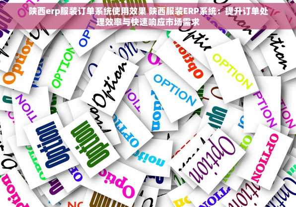 陕西erp服装订单系统使用效果 陕西服装ERP系统：提升订单处理效率与快速响应市场需求