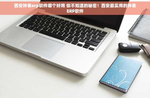 西安钟表erp软件哪个好用 你不知道的秘密！西安最实用的钟表ERP软件