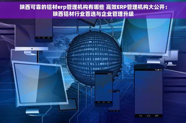 陕西可靠的铝材erp管理机构有哪些 高效ERP管理机构大公开：陕西铝材行业首选与企业管理升级