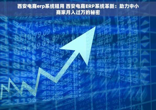 西安电商erp系统租用 西安电商ERP系统革新：助力中小商家月入过万的秘密