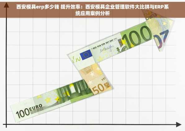 西安模具erp多少钱 提升效率：西安模具企业管理软件大比拼与ERP系统应用案例分析