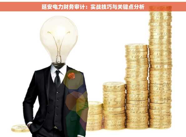 延安电力财务审计：实战技巧与关键点分析