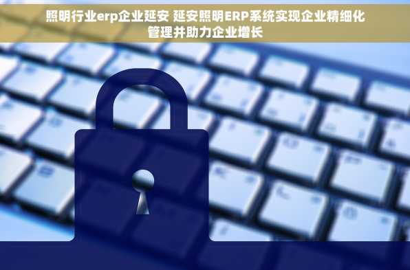 照明行业erp企业延安 延安照明ERP系统实现企业精细化管理并助力企业增长