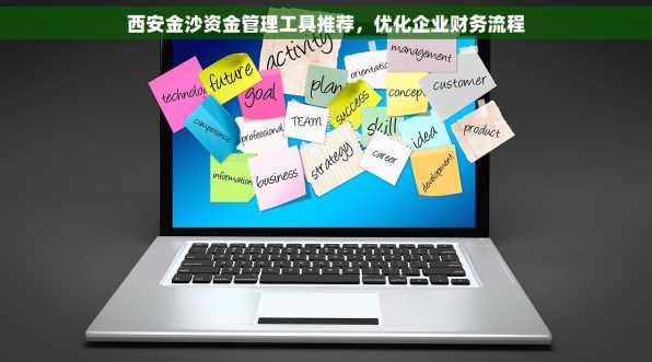 西安金沙资金管理工具推荐，优化企业财务流程