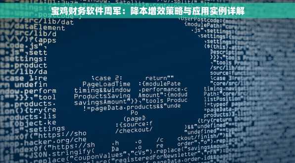 宝鸡财务软件周军：降本增效策略与应用实例详解