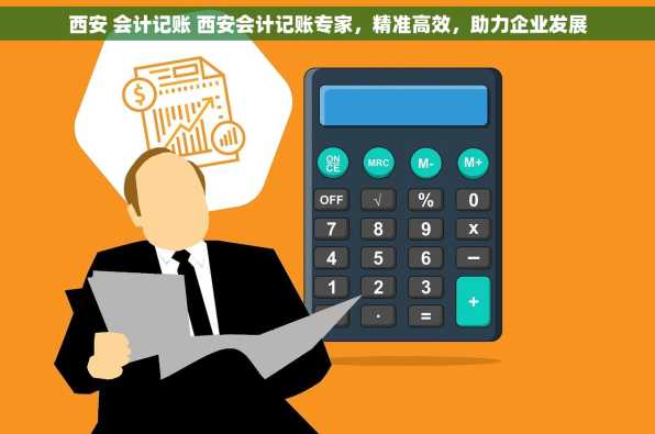 西安 会计记账 西安会计记账专家，精准高效，助力企业发展