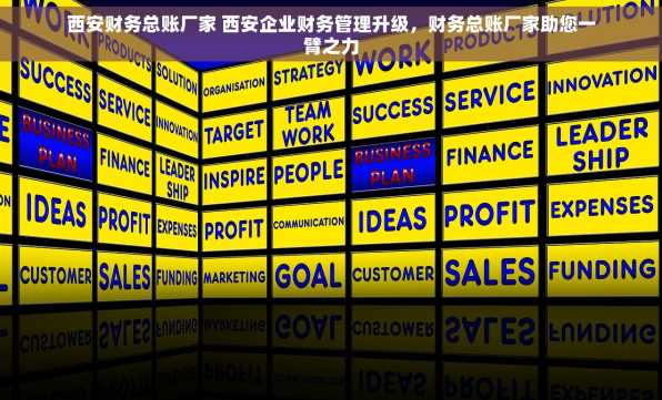 西安财务总账厂家 西安企业财务管理升级，财务总账厂家助您一臂之力