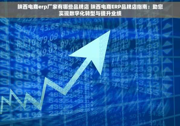 陕西电商erp厂家有哪些品牌店 陕西电商ERP品牌店指南：助您实现数字化转型与提升业绩