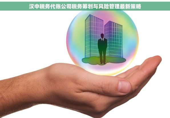 汉中税务代账公司税务筹划与风险管理最新策略