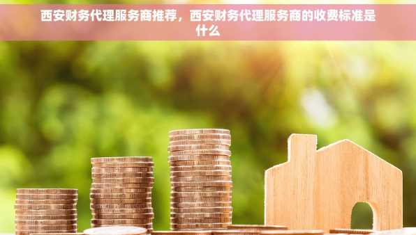 西安财务代理服务商推荐，西安财务代理服务商的收费标准是什么