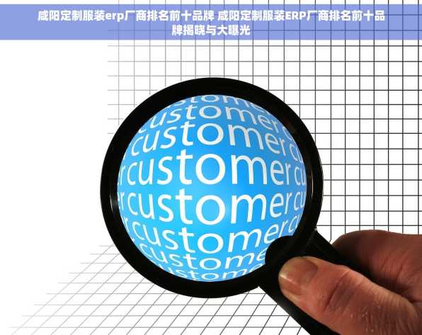 咸阳定制服装erp厂商排名前十品牌 咸阳定制服装ERP厂商排名前十品牌揭晓与大曝光