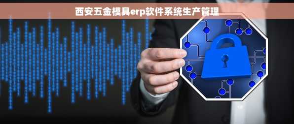 西安五金模具erp软件系统生产管理