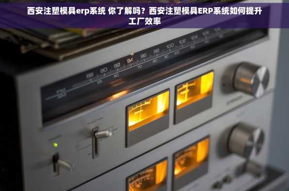 西安注塑模具erp系统 你了解吗？西安注塑模具ERP系统如何提升工厂效率