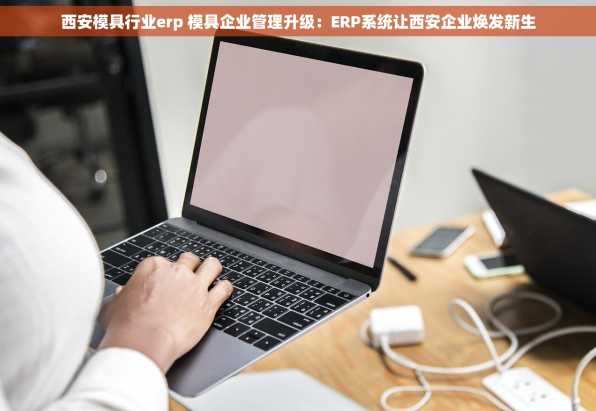 西安模具行业erp 模具企业管理升级：ERP系统让西安企业焕发新生