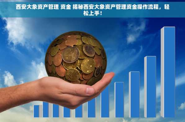 西安大象资产管理 资金 揭秘西安大象资产管理资金操作流程，轻松上手！
