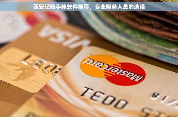 西安记账手帐软件推荐，专业财务人员的选择