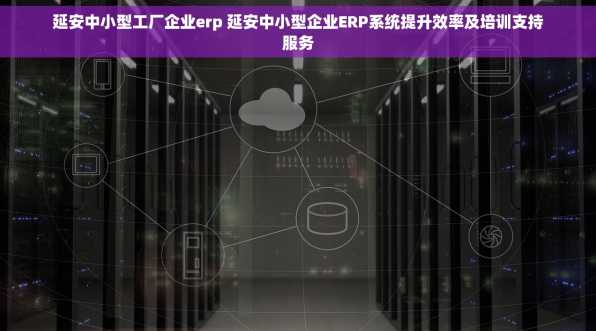 延安中小型工厂企业erp 延安中小型企业ERP系统提升效率及培训支持服务