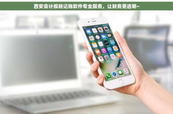 西安会计报税记账软件专业服务，让财务更透明~