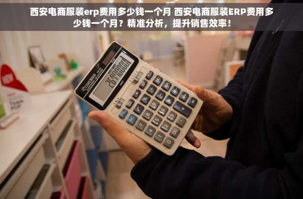 西安电商服装erp费用多少钱一个月 西安电商服装ERP费用多少钱一个月？精准分析，提升销售效率！