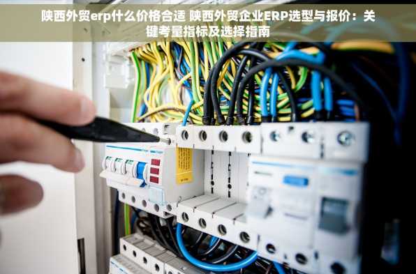 陕西外贸erp什么价格合适 陕西外贸企业ERP选型与报价：关键考量指标及选择指南