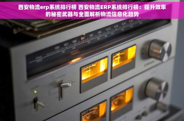 西安物流erp系统排行榜 西安物流ERP系统排行榜：提升效率的秘密武器与全面解析物流信息化趋势