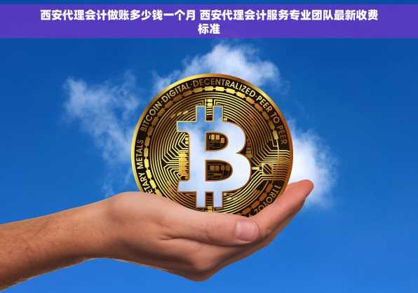 西安代理会计做账多少钱一个月 西安代理会计服务专业团队最新收费标准