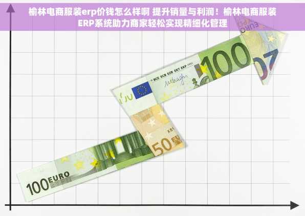 榆林电商服装erp价钱怎么样啊 提升销量与利润！榆林电商服装ERP系统助力商家轻松实现精细化管理