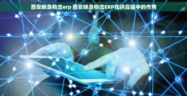 西安映急物流erp 西安映急物流ERP在供应链中的作用