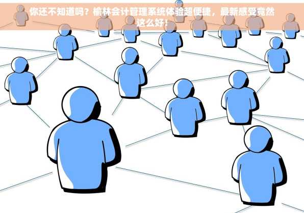 你还不知道吗？榆林会计管理系统体验超便捷，最新感受竟然这么好！
