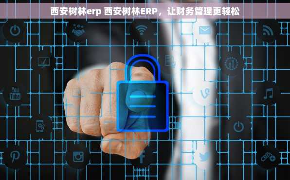 西安树林erp 西安树林ERP，让财务管理更轻松