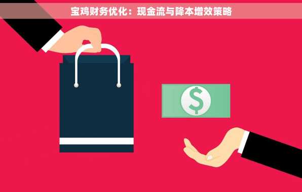 宝鸡财务优化：现金流与降本增效策略