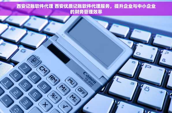 西安记账软件代理 西安优质记账软件代理服务，提升企业与中小企业的财务管理效率