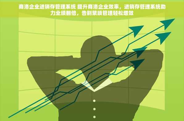 商洛企业进销存管理系统 提升商洛企业效率，进销存管理系统助力业绩翻倍，告别繁琐管理轻松增效